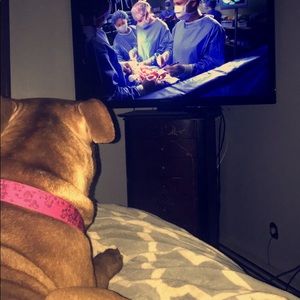 Meet your Posher, Morgan